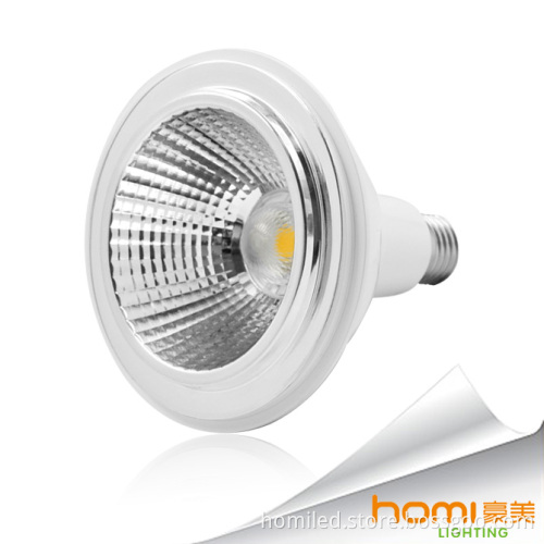 LED PAR Light 16W
